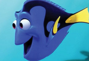 Dory